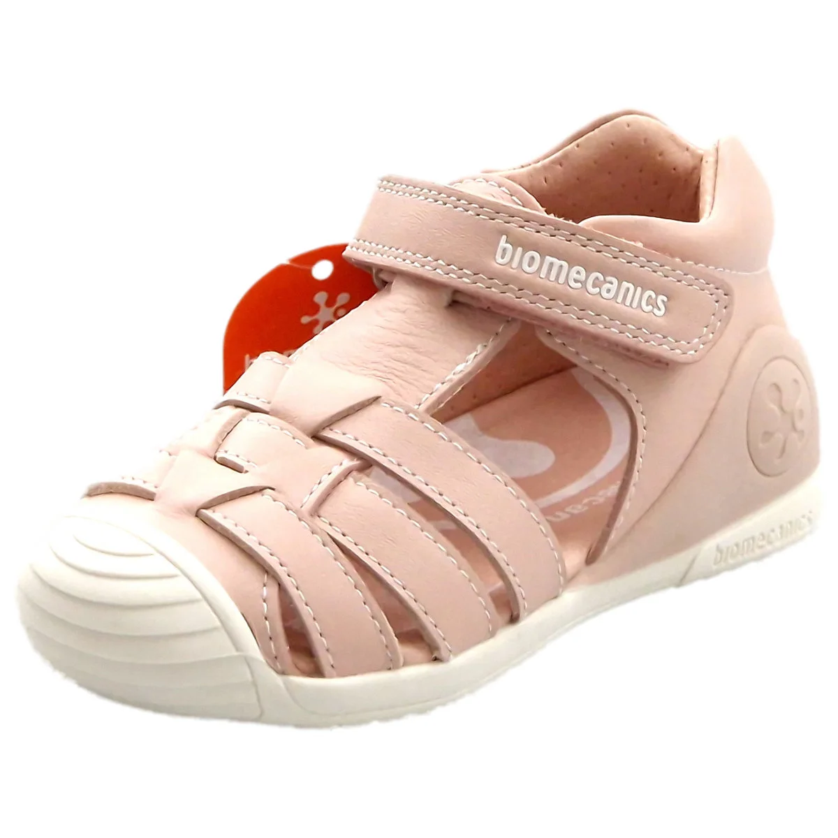 262115-B032 ROSA